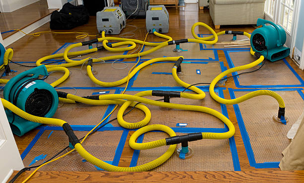 Professional Sewage Cleanup technician working in Carthage, TX